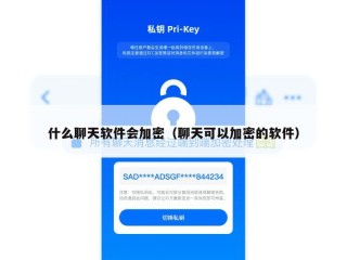什么聊天软件会加密（聊天可以加密的软件）