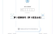 萝卜密聊技巧（萝卜密怎么吃）