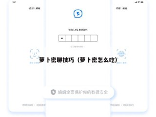 萝卜密聊技巧（萝卜密怎么吃）