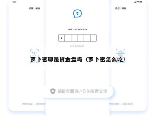 萝卜密聊是资金盘吗（萝卜密怎么吃）