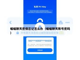蝙蝠聊天密保忘记怎么办（蝙蝠聊天账号密码）