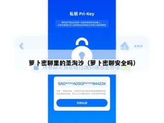 萝卜密聊里的圣淘沙（萝卜密聊安全吗）