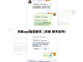 天籁app加密聊天（天籁 聊天软件）