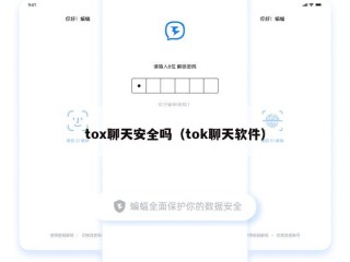 tox聊天安全吗（tok聊天软件）
