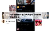 soul聊天软件收费吗安全吗（soul聊天收费贵吗）