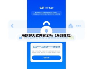 海欧聊天软件安全吗（海鸥交友）