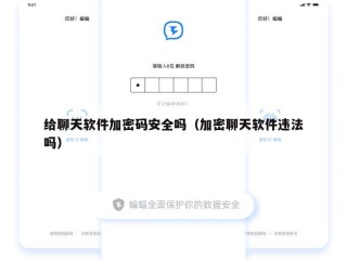给聊天软件加密码安全吗（加密聊天软件违法吗）