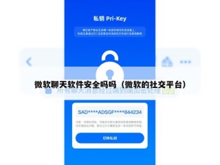 微软聊天软件安全吗吗（微软的社交平台）