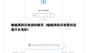 蝙蝠侠和闪电侠的聊天（蝙蝠侠和闪电侠对话是什么电影）