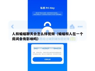 人和蝙蝠聊天会怎么样视频（蝙蝠和人在一个房间会有影响吗）