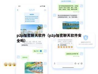 p2p加密聊天软件（p2p加密聊天软件安全吗）