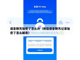 语音聊天加密了怎么办（微信语音聊天记录加密了怎么解密）