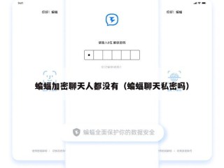 蝙蝠加密聊天人都没有（蝙蝠聊天私密吗）