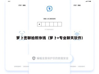 萝卜密聊拍照挣钱（萝卜+专业聊天软件）