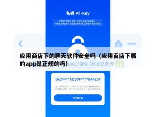 应用商店下的聊天软件安全吗（应用商店下载的app是正规的吗）