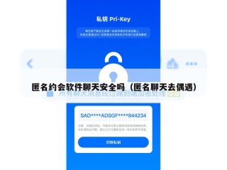 匿名约会软件聊天安全吗（匿名聊天去偶遇）