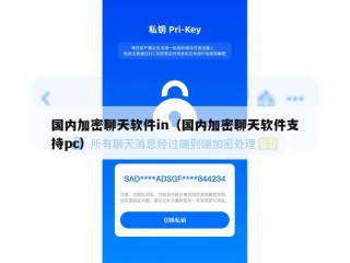 国内加密聊天软件in（国内加密聊天软件支持pc）