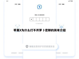 苹果X为什么打不开萝卜密聊的简单介绍
