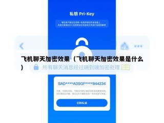 飞机聊天加密效果（飞机聊天加密效果是什么）