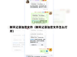 聊天记录加密文件（聊天记录加密文件怎么打开）