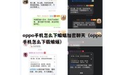 oppo手机怎么下蝙蝠加密聊天（oppo手机怎么下载蝙蝠）