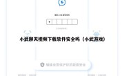 小武聊天视频下载软件安全吗（小武游戏）