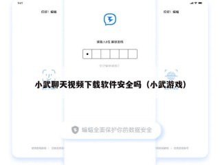 小武聊天视频下载软件安全吗（小武游戏）