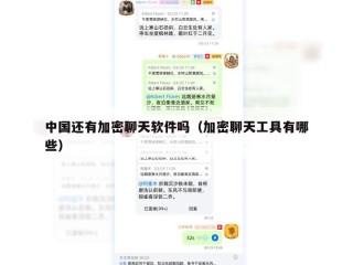 中国还有加密聊天软件吗（加密聊天工具有哪些）