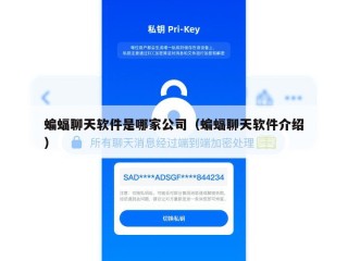 蝙蝠聊天软件是哪家公司（蝙蝠聊天软件介绍）