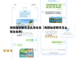海鸥加密聊天怎么领会员（海鸥加密聊天怎么领会员啊）