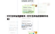 钉钉怎样加密群聊天（钉钉怎样加密群聊天功能）