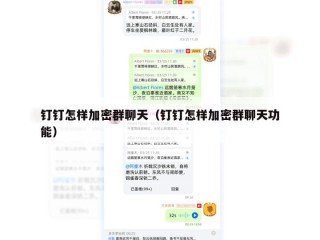 钉钉怎样加密群聊天（钉钉怎样加密群聊天功能）