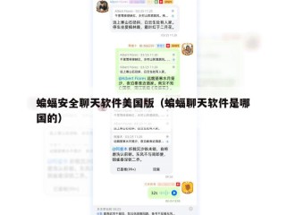 蝙蝠安全聊天软件美国版（蝙蝠聊天软件是哪国的）