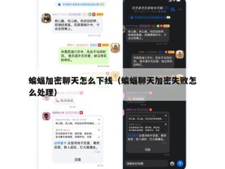 蝙蝠加密聊天怎么下线（蝙蝠聊天加密失败怎么处理）