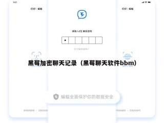 黑莓加密聊天记录（黑莓聊天软件bbm）