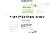 大飞聊天软件安全吗可靠吗（大飞大飞）