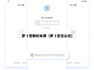 萝卜密聊的本质（萝卜密怎么吃）