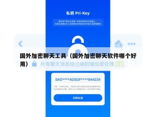 国外加密聊天工具（国外加密聊天软件哪个好用）