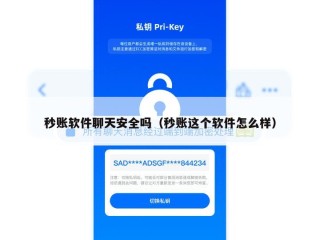 秒账软件聊天安全吗（秒账这个软件怎么样）