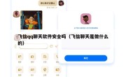 飞信qq聊天软件安全吗（飞信聊天是做什么的）