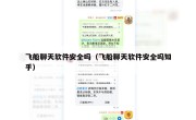 飞船聊天软件安全吗（飞船聊天软件安全吗知乎）