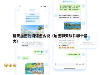 聊天加密的词语怎么说（加密聊天软件哪个最火）