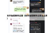 文字加密聊天记录（文字加密聊天记录怎么弄）