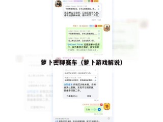萝卜密聊赛车（萝卜游戏解说）