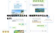 蝙蝠加密聊天怎么改名（蝙蝠聊天软件怎么改名字）