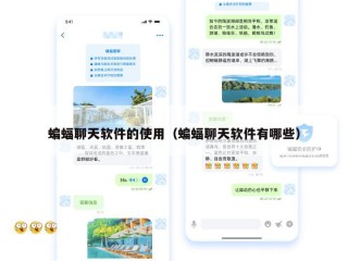 蝙蝠聊天软件的使用（蝙蝠聊天软件有哪些）