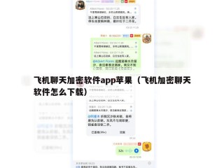 飞机聊天加密软件app苹果（飞机加密聊天软件怎么下载）