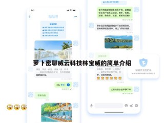 萝卜密聊威云科技林宝威的简单介绍