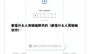 都是什么人用蝙蝠聊天的（都是什么人用蝙蝠软件）