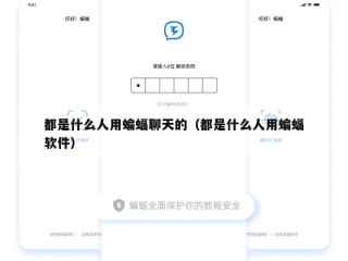 都是什么人用蝙蝠聊天的（都是什么人用蝙蝠软件）